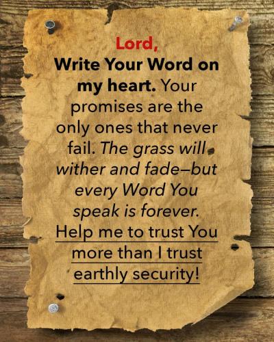 204040289_4427273143986670_6061232320128216271_n