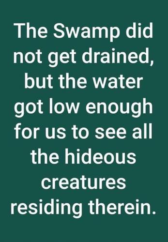 201162338_159187489532072_7862681991982933047_n