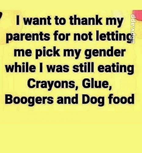 07:37:02 GMT-0400 (EDT)