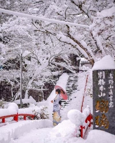 203966185_2882658628617261_4236238699416596101_n