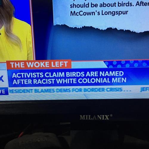 03:15:37 GMT-0500 (CDT).image