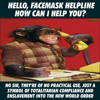 193246652_512080320108037_3019838213261771080_n