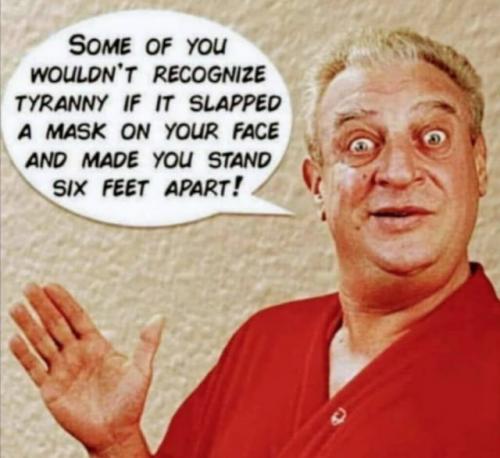 209151887_1298296630602855_4144362927783662371_n