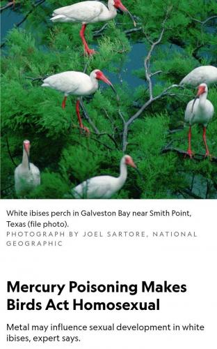 IMG_20210611_143456_878