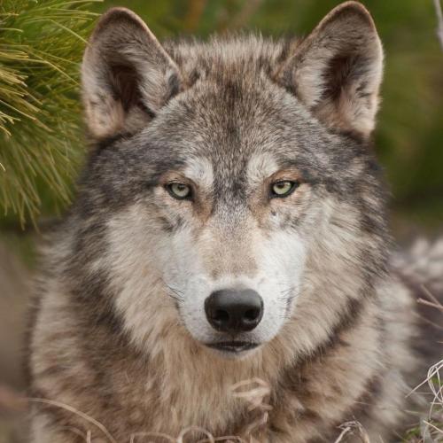 192935267_330183792008987_3797215627835699845_n