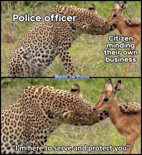 204018556_536941847635537_2718219407712973314_n