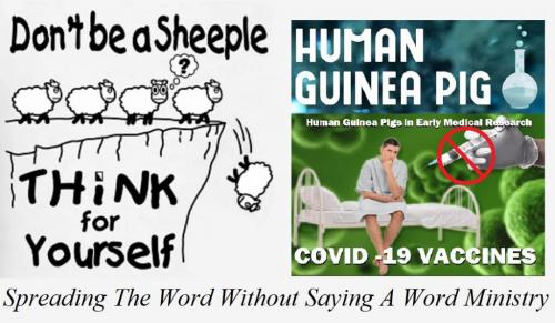 24993306_1636745193038706_4900542683921815012_n - Copy