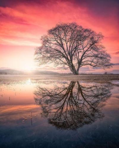 193647206_342378137265866_2597861385828723329_n