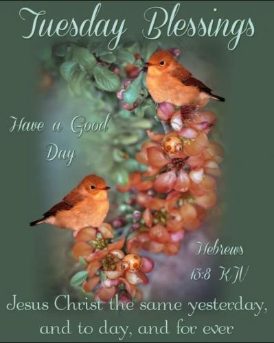 Screenshot_20210628-202936_Gallery