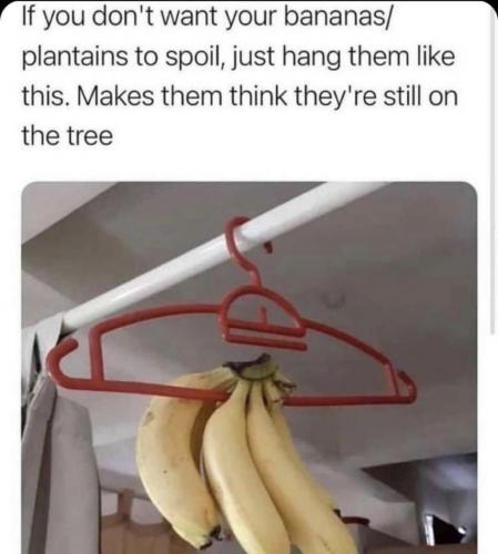 16:48:41 GMT-0400 (EDT)