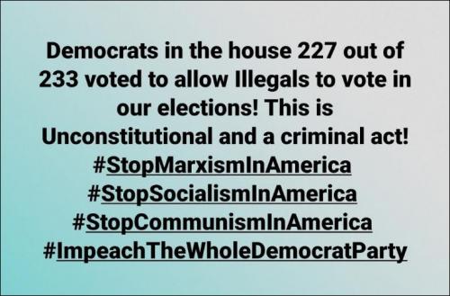 voterfraud174