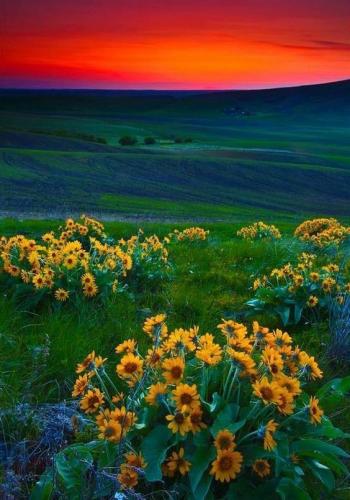 10:41:54 GMT-0500 (CDT)