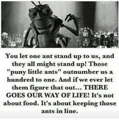 ants