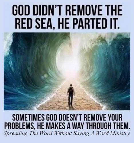 193246124_5457959787611762_5163279160425756699_n