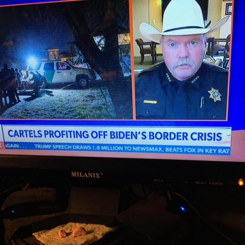 04:31:45 GMT-0500 (CDT).image