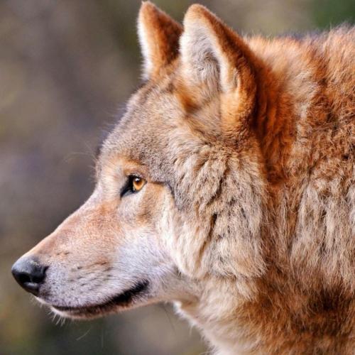 193207220_330180608675972_1662081845785966193_n