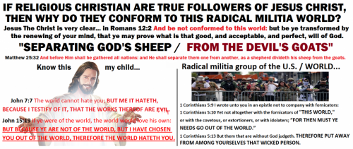 Which Makes Sense - Copy - Copy (9) - Copy - Copy - Copy - Copy