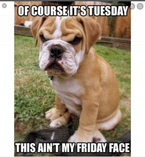 07:09:39 GMT-0600 (MDT).image