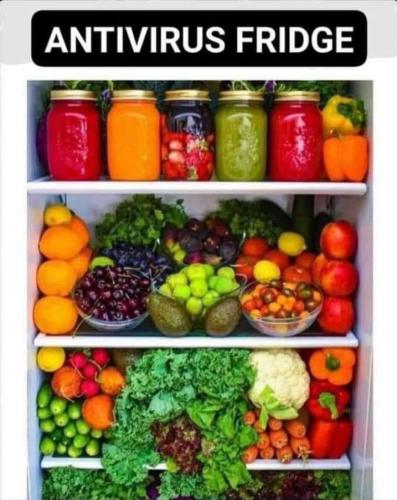 antivirus fridge