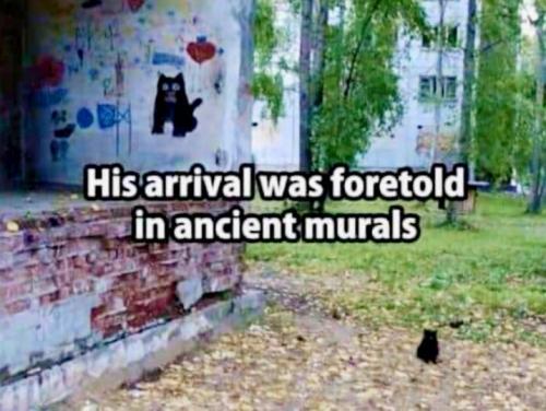 207220247_2293645490767680_5716419092245247072_n