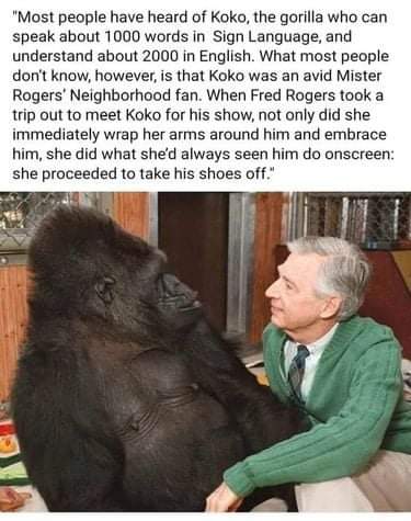 FB_IMG_1624163577897