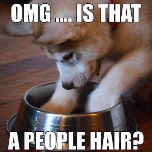 FB_IMG_1625012691913