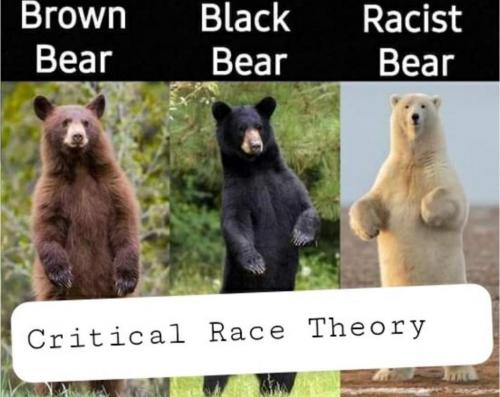 Screenshot_20210620-194740_FreeSpace