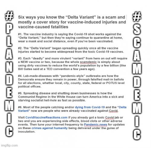 Delta Variant Scamdemic 2