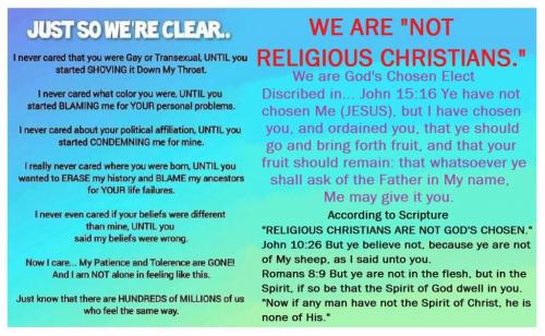 199624316_502825654499633_7959410022574055687_n