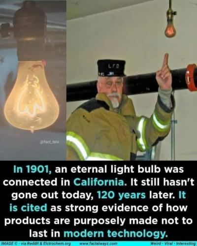 193311895_3875298522523993_191683592556246217_n