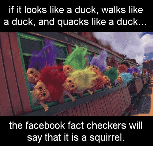 factcheck53