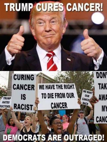 trump cures cancer