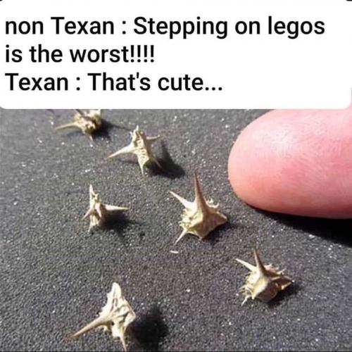 14:28:32 GMT-0500 (CDT)