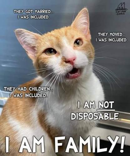 22:04:10 GMT-0700 (PDT)