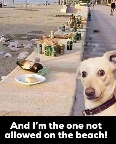 12:31:43 GMT-0500 (CDT)