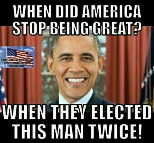 Vj42zOorF4U65655XPL8_03_cc08f7d58a1988efd12a1b464602803a_image