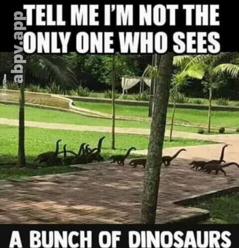 11:28:23 GMT-0400 (EDT)