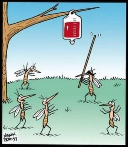 FB_IMG_1624141982860