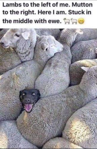 12:26:13 GMT-0600 (MDT).image