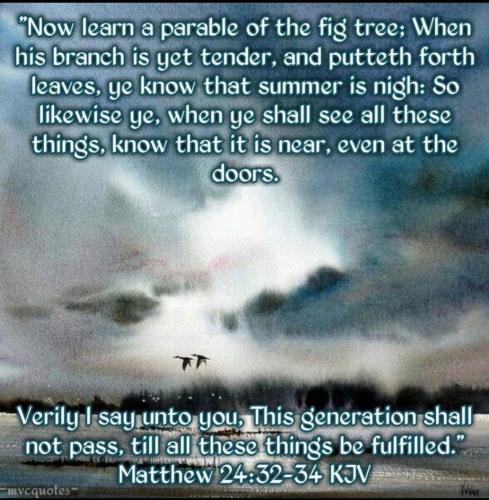 Screenshot_20210626-064046_Gallery