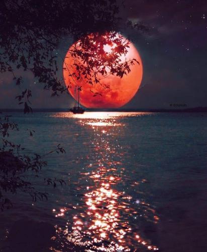 21:50:55 GMT-0500 (CDT)