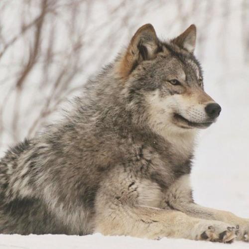 192592299_330184582008908_7461876987306259450_n