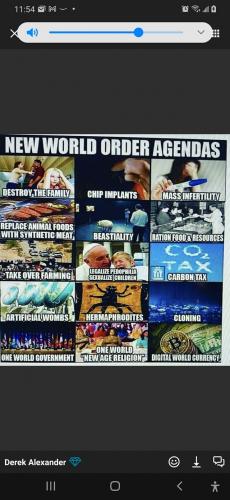 204501292_4651869348174539_70686431144434431_n