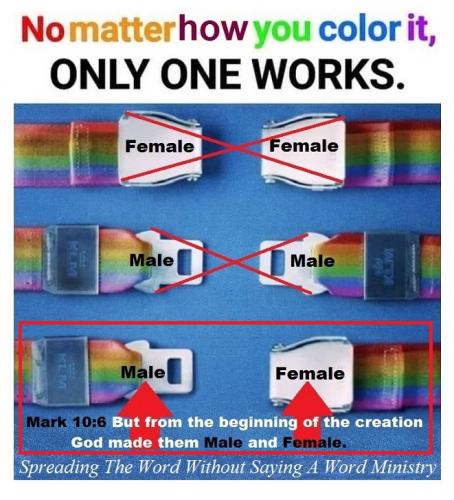 65504301_2231085656990553_1174269553652269056_n