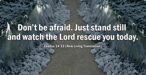 26907789_1546764058732880_2697578846290830723_n