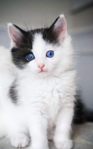 17:11:03 GMT-0500 (CDT)