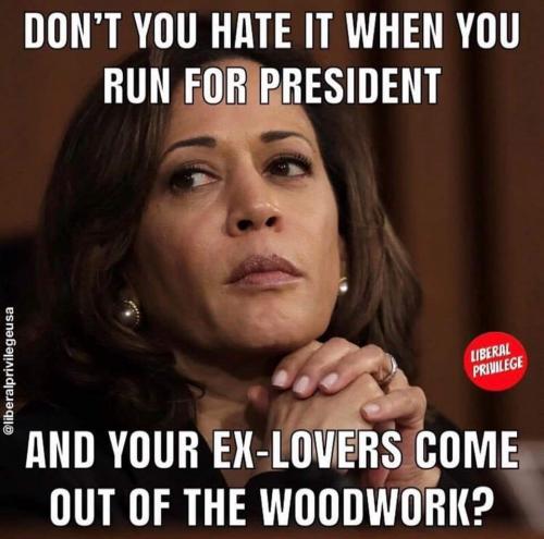 50668228_2230843480536573_4089297761919303680_n