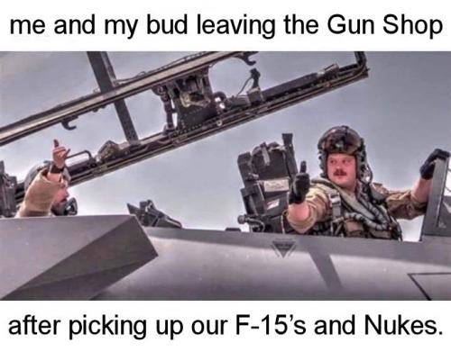 you'll need f-15s01