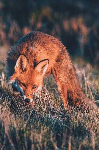 tumblr_0b4b802219e8ef457c78441a51392d78_c3f8116d_540