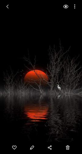 06:52:08 GMT-0500 (CDT)